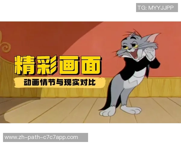 足球封面猫的奇妙冒险与球场上的精彩瞬间